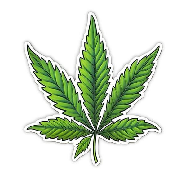 Kannabisz levél